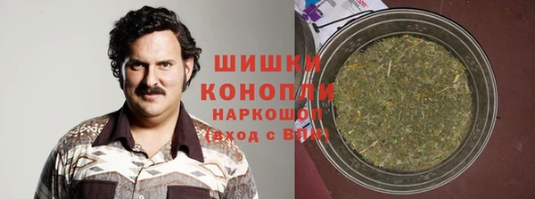 apvp Богданович