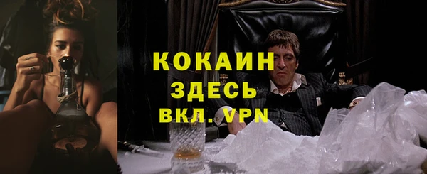 apvp Богданович