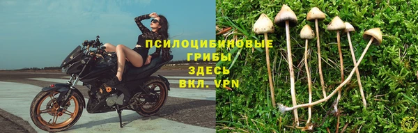 а пвп мука Богородицк