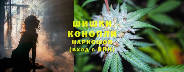 apvp Богданович