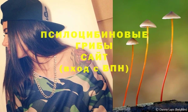 а пвп мука Богородицк