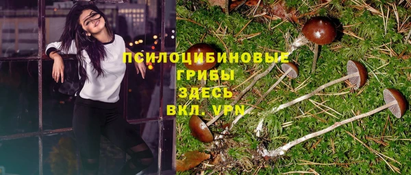 apvp Богданович